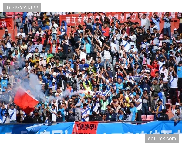 保加利亚球迷热情助威,球队再创佳绩 保加利亚球迷热情助威,球队再创佳绩